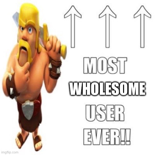 Most racist user ever | WHOLESOME | image tagged in most racist user ever | made w/ Imgflip meme maker