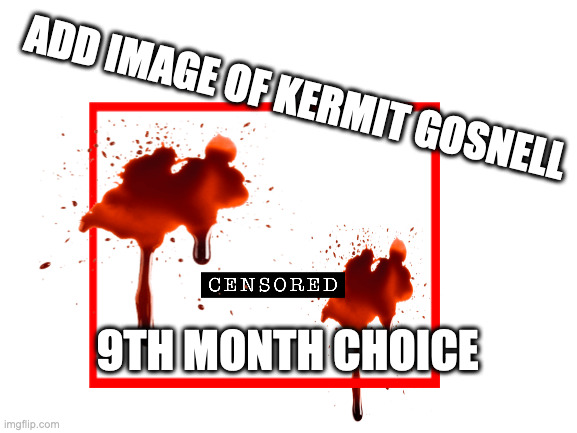 Blank White Template | ADD IMAGE OF KERMIT GOSNELL 9TH MONTH CHOICE | image tagged in blank white template | made w/ Imgflip meme maker