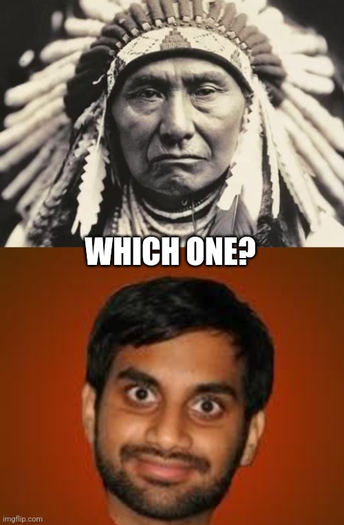 WHICH ONE? | image tagged in american indian,indian guy | made w/ Imgflip meme maker