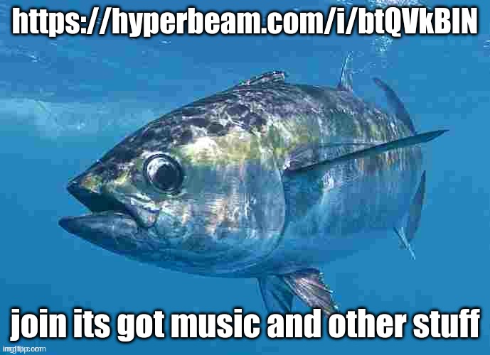 Tuma fibsh | https://hyperbeam.com/i/btQVkBIN; join its got music and other stuff | image tagged in tuma fibsh | made w/ Imgflip meme maker