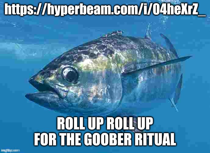 https://hyperbeam.com/i/04heXrZ_ | https://hyperbeam.com/i/04heXrZ_; ROLL UP ROLL UP FOR THE GOOBER RITUAL | image tagged in tuma fibsh | made w/ Imgflip meme maker