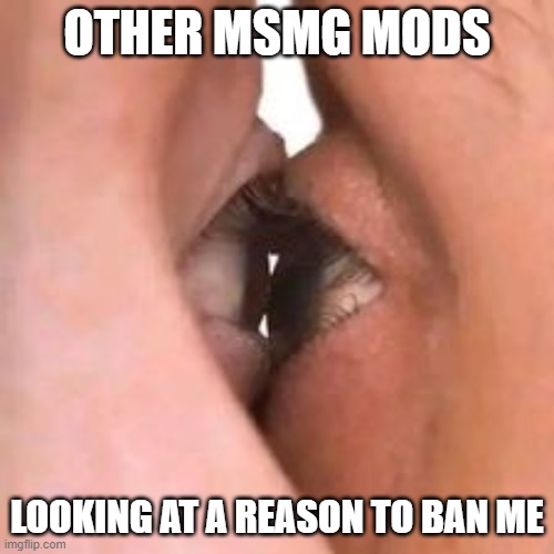 OTHER MSMG MODS; LOOKING AT A REASON TO BAN ME | made w/ Imgflip meme maker