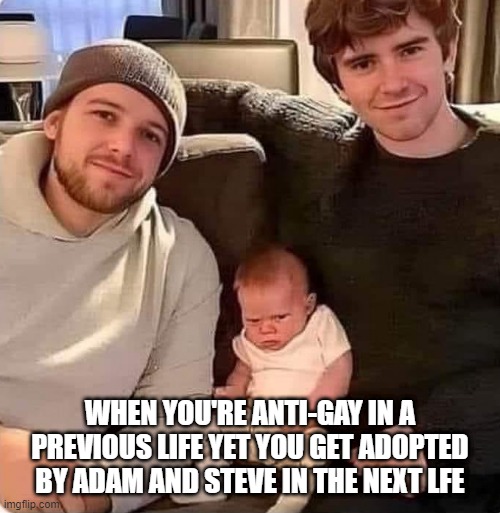 Reincarnation | WHEN YOU'RE ANTI-GAY IN A PREVIOUS LIFE YET YOU GET ADOPTED BY ADAM AND STEVE IN THE NEXT LFE | image tagged in dark humor | made w/ Imgflip meme maker