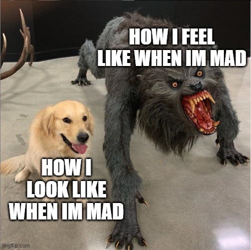 People say im cute when im mad | HOW I FEEL LIKE WHEN IM MAD; HOW I LOOK LIKE WHEN IM MAD | image tagged in dog vs werewolf | made w/ Imgflip meme maker