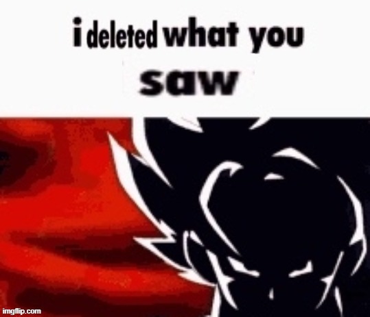 I deleted what you saw | image tagged in i deleted what you saw | made w/ Imgflip meme maker