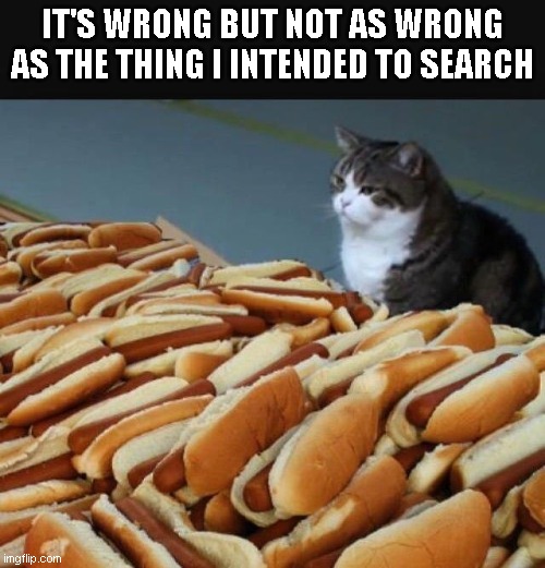 Cat hotdogs | IT'S WRONG BUT NOT AS WRONG AS THE THING I INTENDED TO SEARCH | image tagged in cat hotdogs | made w/ Imgflip meme maker