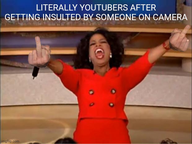 Oprah You Get A Meme | LITERALLY YOUTUBERS AFTER GETTING INSULTED BY SOMEONE ON CAMERA | image tagged in middle finger | made w/ Imgflip meme maker