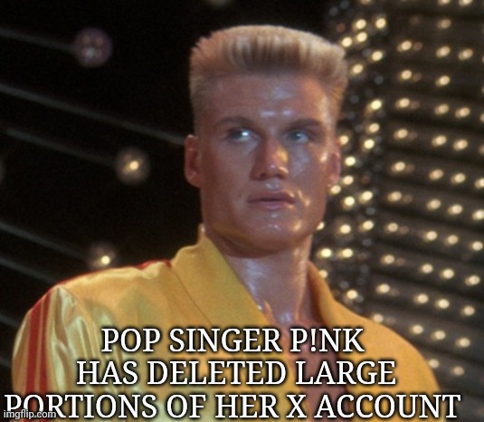 P Diddy meme | POP SINGER P!NK 
HAS DELETED LARGE PORTIONS OF HER X ACCOUNT | image tagged in memes | made w/ Imgflip meme maker