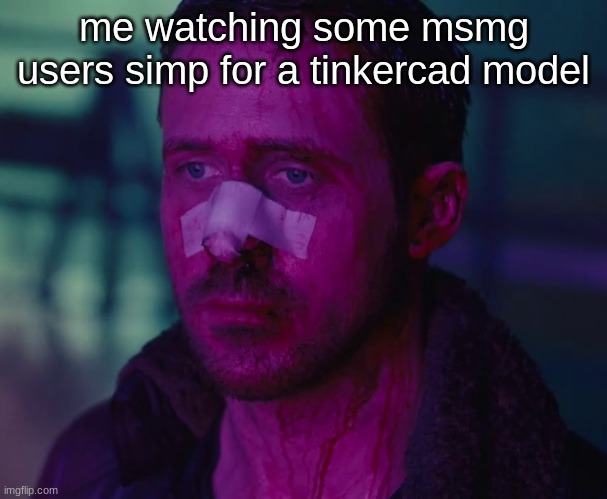 Sad Ryan Gosling | me watching some msmg users simp for a tinkercad model | image tagged in sad ryan gosling | made w/ Imgflip meme maker