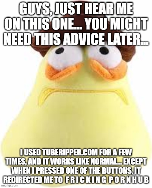 and my account blocks the access of pornhub... that's some scary shit, bro | GUYS, JUST HEAR ME ON THIS ONE... YOU MIGHT NEED THIS ADVICE LATER... I USED TUBERIPPER.COM FOR A FEW TIMES, AND IT WORKS LIKE NORMAL... EXCEPT WHEN I PRESSED ONE OF THE BUTTONS, IT REDIRECTED ME TO  F R I C K I N G  P O R N H U B | made w/ Imgflip meme maker