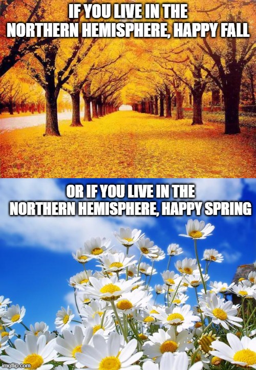 IF YOU LIVE IN THE NORTHERN HEMISPHERE, HAPPY FALL; OR IF YOU LIVE IN THE NORTHERN HEMISPHERE, HAPPY SPRING | image tagged in autumn trees,spring daisy flowers | made w/ Imgflip meme maker