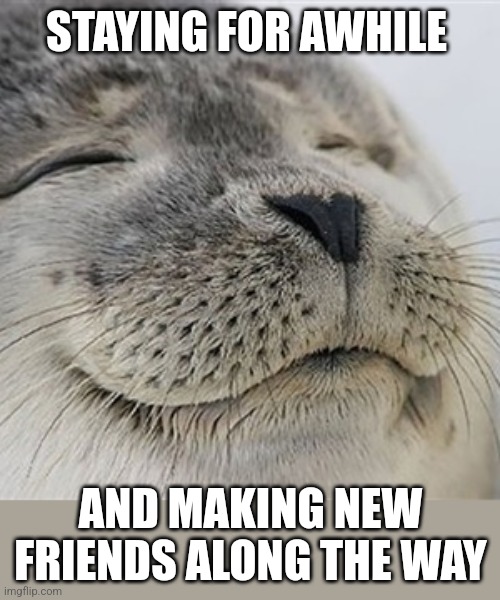 Content seal | STAYING FOR AWHILE AND MAKING NEW FRIENDS ALONG THE WAY | image tagged in content seal | made w/ Imgflip meme maker