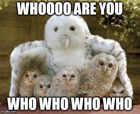 WHOOOO ARE YOU WHO WHO WHO WHO | image tagged in who | made w/ Imgflip meme maker