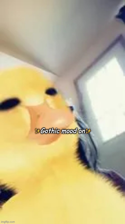 ✨Gothic mood on✨ | made w/ Imgflip meme maker