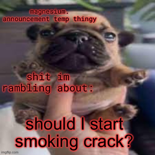 or weed? | should I start smoking crack? | image tagged in pug temp | made w/ Imgflip meme maker