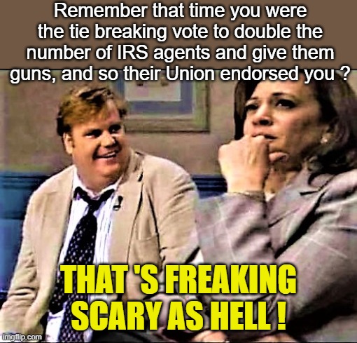 IRS Union  Purpose: to make sure employees are treated with dignity and respect from Americans - whatever the hell that means | Remember that time you were the tie breaking vote to double the number of IRS agents and give them guns, and so their Union endorsed you ? THAT 'S FREAKING 
SCARY AS HELL ! | image tagged in chris farley and kamala,irs,kamala harris | made w/ Imgflip meme maker