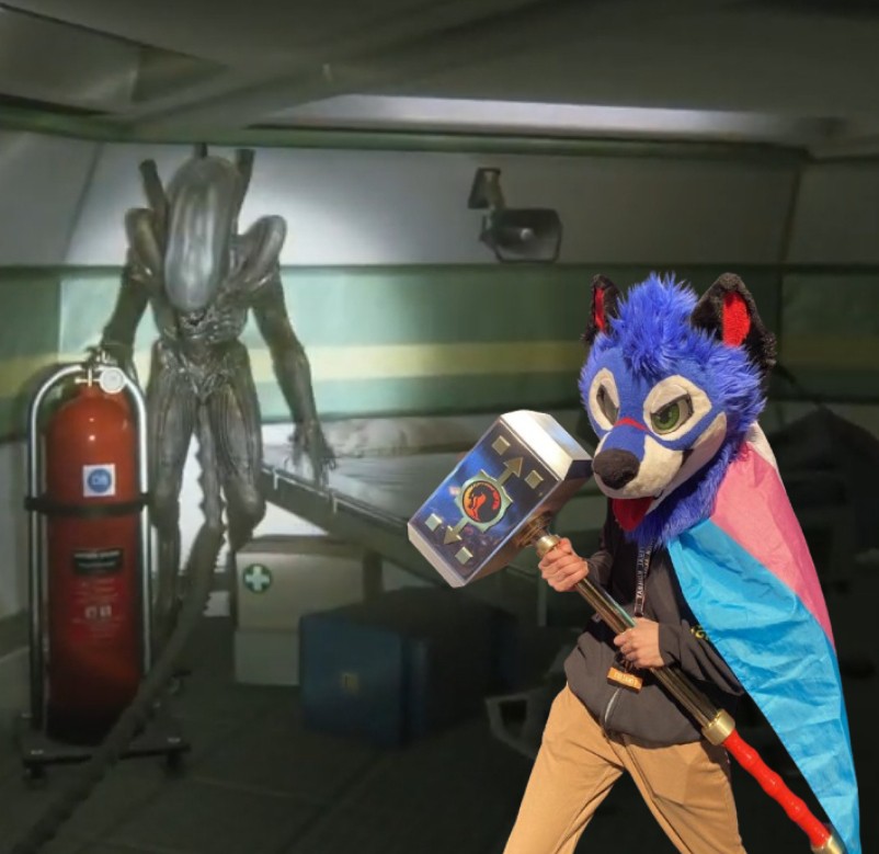 SonicFox vs Xenomorph Blank Meme Template