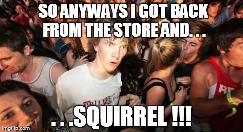 Sudden Clarity Clarence Meme | SO ANYWAYS I GOT BACK FROM THE STORE AND. . . . . .SQUIRREL !!! | image tagged in memes,sudden clarity clarence | made w/ Imgflip meme maker