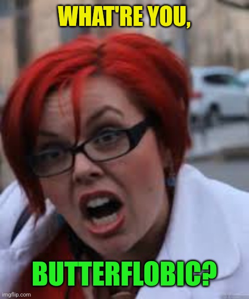 SJW Triggered | WHAT'RE YOU, BUTTERFLOBIC? | image tagged in sjw triggered | made w/ Imgflip meme maker