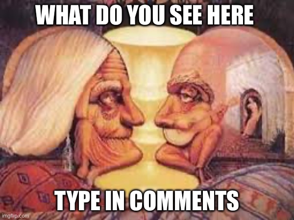 Tell me? | WHAT DO YOU SEE HERE; TYPE IN COMMENTS | image tagged in optical illusion | made w/ Imgflip meme maker