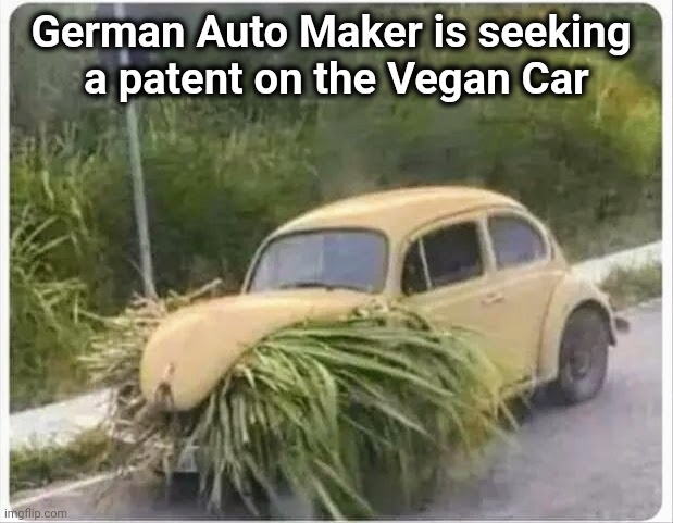 Keep off the grass , Boys | German Auto Maker is seeking 
a patent on the Vegan Car | image tagged in economical,grass is greener,don't smoke it,car accident,stoned,somebody is | made w/ Imgflip meme maker