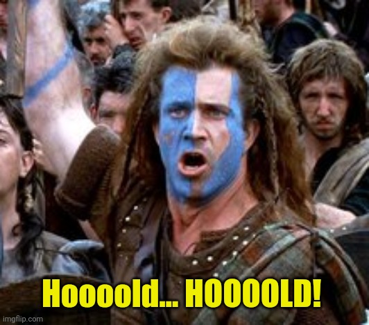 Braveheart hold | Hoooold... HOOOOLD! | image tagged in braveheart hold | made w/ Imgflip meme maker