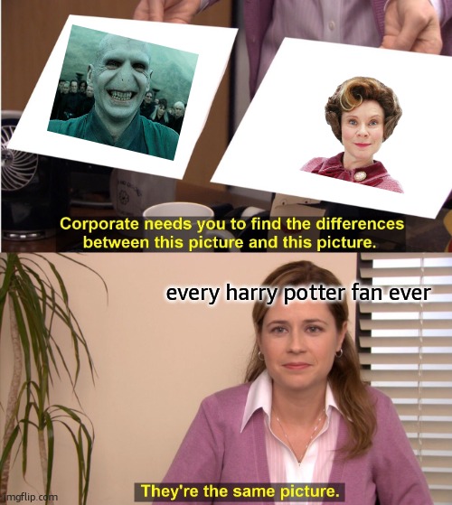 actually...umbridge might be worse. | every harry potter fan ever | image tagged in memes,they're the same picture | made w/ Imgflip meme maker