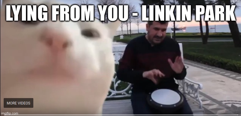 vibing cat | LYING FROM YOU - LINKIN PARK | image tagged in vibing cat | made w/ Imgflip meme maker