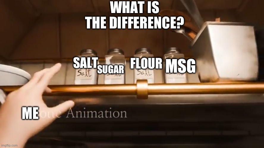 Cooking memes | WHAT IS THE DIFFERENCE? SALT; FLOUR; MSG; SUGAR; ME | image tagged in ratatouille | made w/ Imgflip meme maker