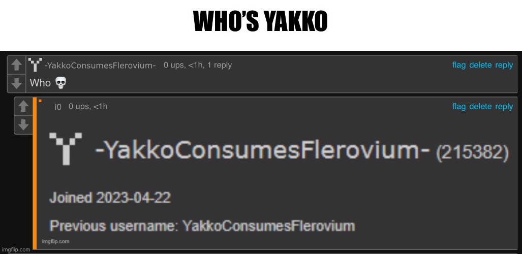 Unless if it’s a person that changed their username | WHO’S YAKKO | made w/ Imgflip meme maker