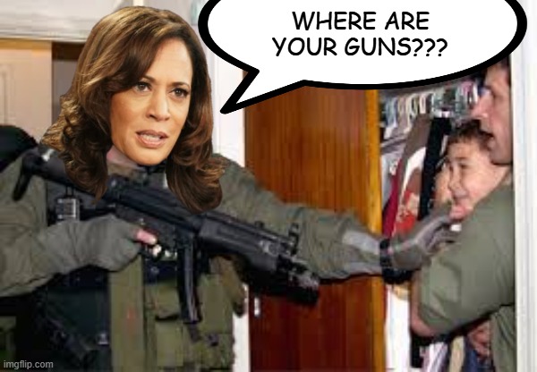 Coming In Your Home | WHERE ARE YOUR GUNS??? | image tagged in elian gonzalez | made w/ Imgflip meme maker