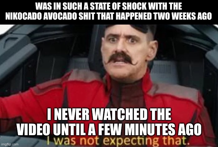I was not expecting that | WAS IN SUCH A STATE OF SHOCK WITH THE NIKOCADO AVOCADO SHIT THAT HAPPENED TWO WEEKS AGO; I NEVER WATCHED THE VIDEO UNTIL A FEW MINUTES AGO | image tagged in i was not expecting that | made w/ Imgflip meme maker