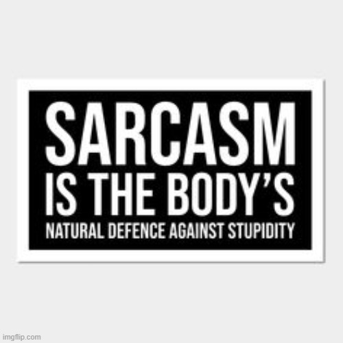 :) | image tagged in sarcasm,sarcastic,makes sense,teamwork makes the dream work | made w/ Imgflip meme maker