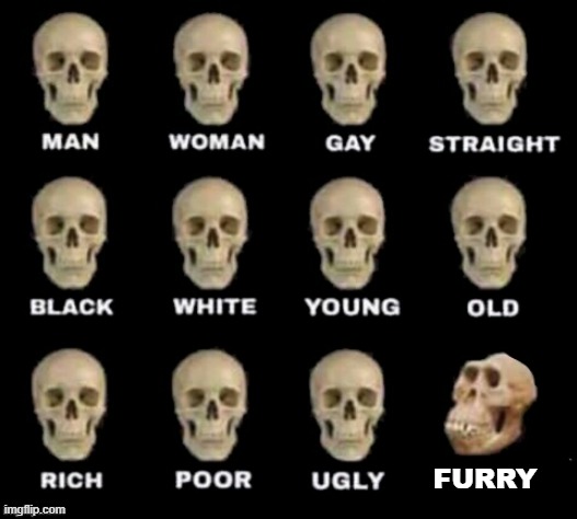 idiot skull | FURRY | image tagged in idiot skull | made w/ Imgflip meme maker