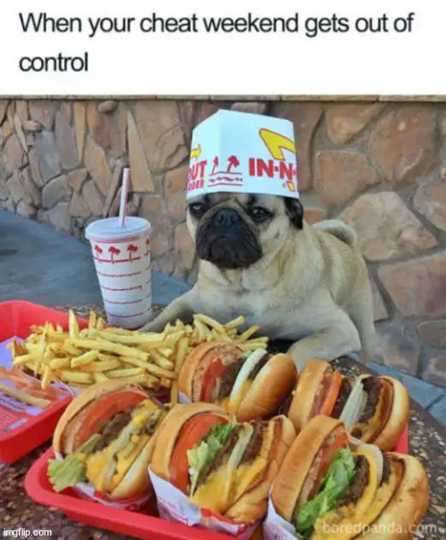 The In-N-Out diet | image tagged in repost | made w/ Imgflip meme maker