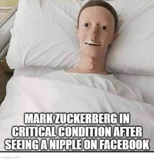 Mark Zuckerberg nipple | image tagged in mark zuckerberg nipple | made w/ Imgflip meme maker