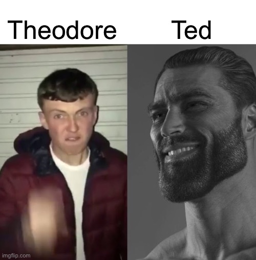 Average Fan vs Average Enjoyer | Theodore Ted | image tagged in average fan vs average enjoyer | made w/ Imgflip meme maker