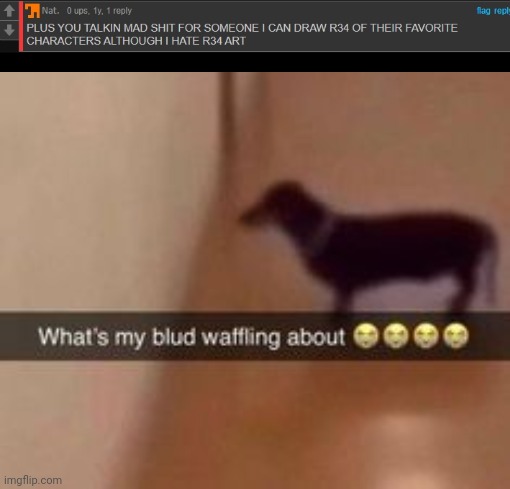 Wtf??? | image tagged in what's my blud waffling about,wtf,bruh | made w/ Imgflip meme maker