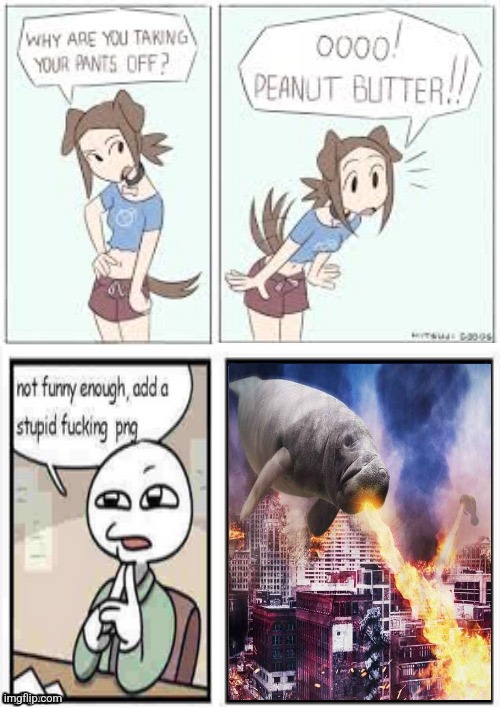 made w/ Imgflip meme maker