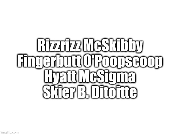 Rizzrizz McSkibby
Fingerbutt O'Poopscoop
Hyatt McSigma
Skier B. Ditoitte | image tagged in brainrot,names | made w/ Imgflip meme maker