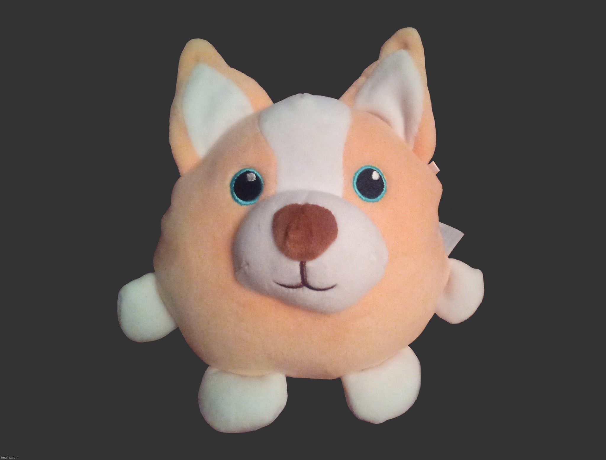 Corgibol Plush comment version | image tagged in corgibol plush comment version | made w/ Imgflip meme maker