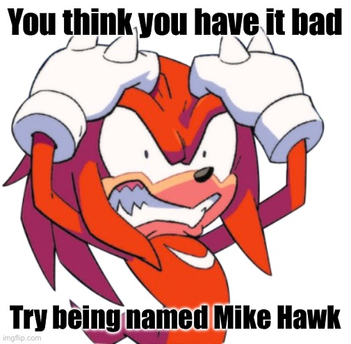 Rage Knuckles | You think you have it bad; Try being named Mike Hawk | image tagged in rage knuckles | made w/ Imgflip meme maker