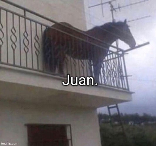 Juan | Juan. | image tagged in juan | made w/ Imgflip meme maker