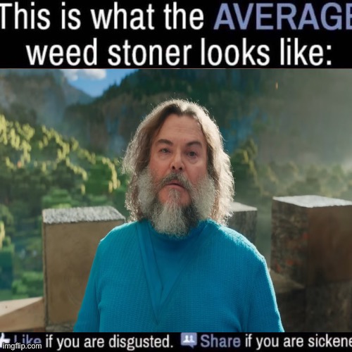 what the AVERAGE weed stoner looks like (add your own image) | image tagged in what the average weed stoner looks like add your own image | made w/ Imgflip meme maker