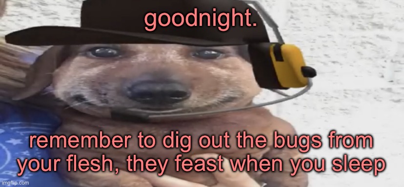 chucklenuts | goodnight. remember to dig out the bugs from your flesh, they feast when you sleep | image tagged in chucklenuts | made w/ Imgflip meme maker