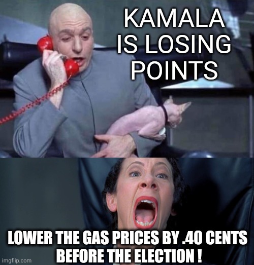 Dr Evil and Frau | KAMALA IS LOSING POINTS LOWER THE GAS PRICES BY .40 CENTS 
BEFORE THE ELECTION ! | image tagged in dr evil and frau | made w/ Imgflip meme maker