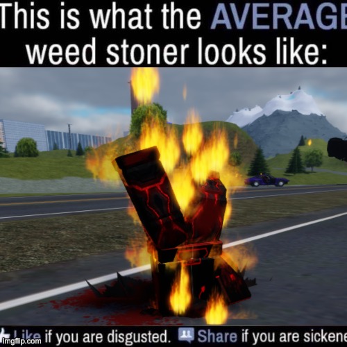 this isnt that bad JESUS FUCK I LIT THE WRONG THING | image tagged in what the average weed stoner looks like add your own image | made w/ Imgflip meme maker