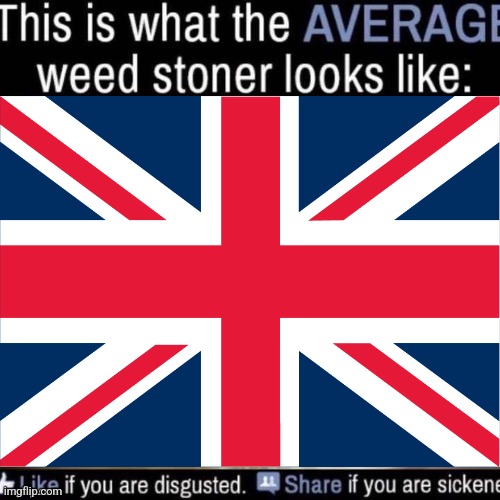 what the AVERAGE weed stoner looks like (add your own image) | image tagged in what the average weed stoner looks like add your own image | made w/ Imgflip meme maker