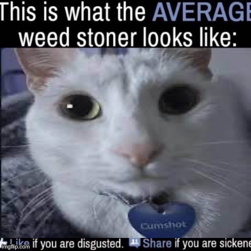 what the AVERAGE weed stoner looks like (add your own image) | image tagged in what the average weed stoner looks like add your own image | made w/ Imgflip meme maker