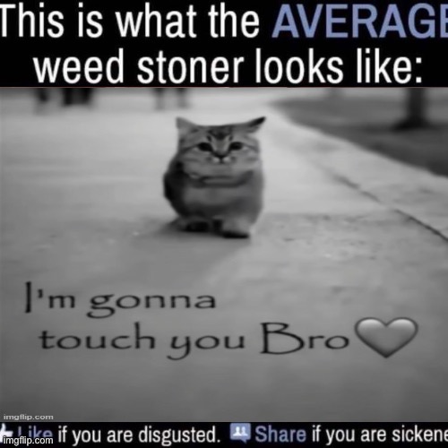what the AVERAGE weed stoner looks like (add your own image) | image tagged in what the average weed stoner looks like add your own image | made w/ Imgflip meme maker